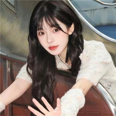 小狐狸维克